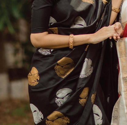 Black Banarasi Designer Saree