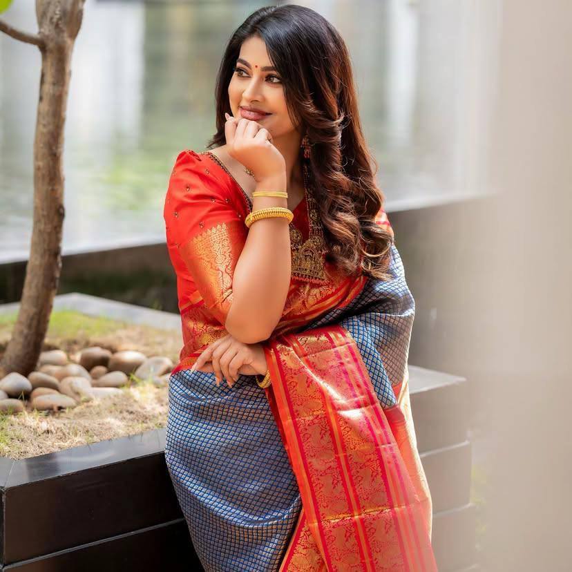 Black Red Banarasi Saree