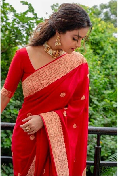 Red Banarasi Wedding Saree