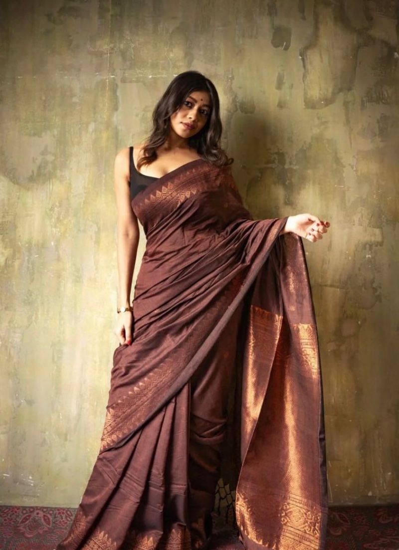 Traditional Handloom Saree
