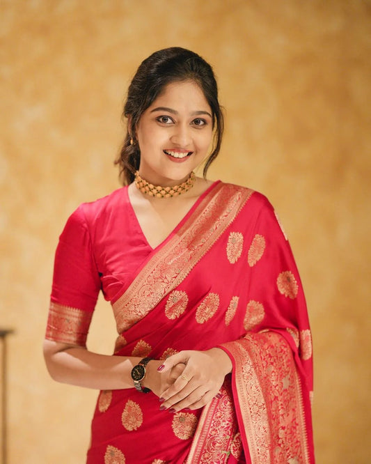 Banarasi Zari Silk Saree