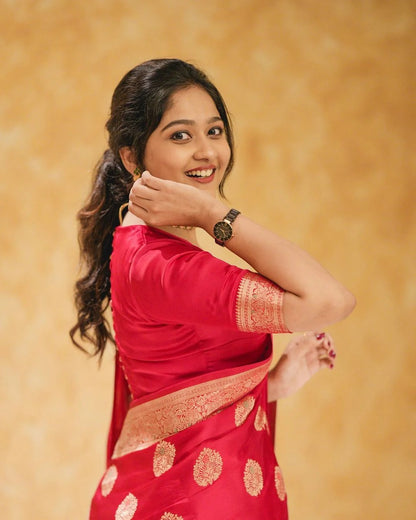 Banarasi Zari Silk Saree