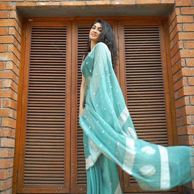 Soft Organza Designer Saree