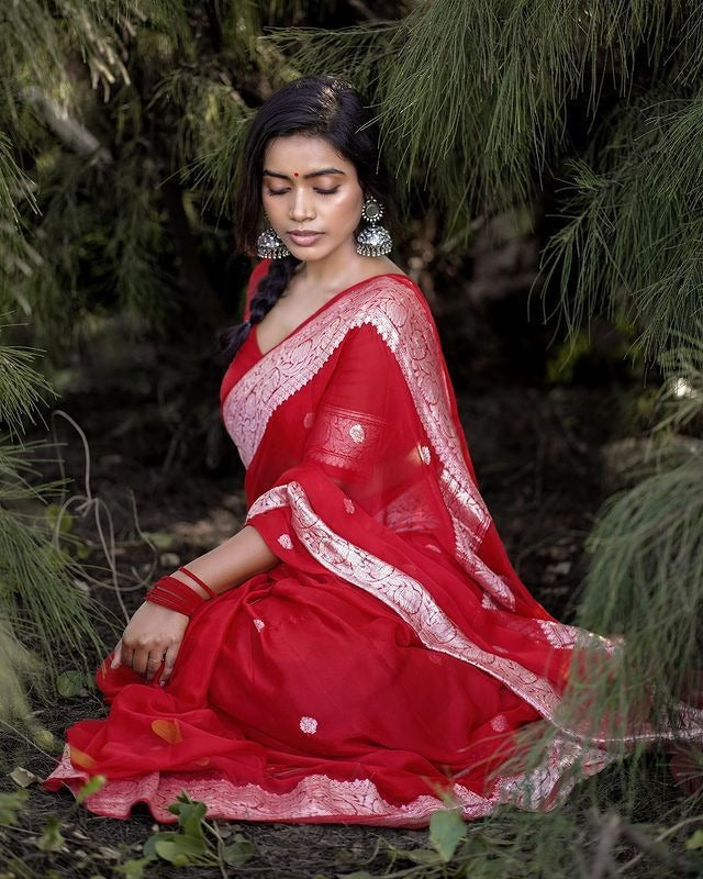 Soft Organza Designer Saree