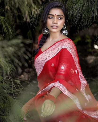 Soft Organza Designer Saree